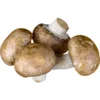 Mushroom_TFM