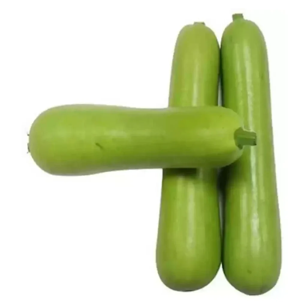 Bottle gourd