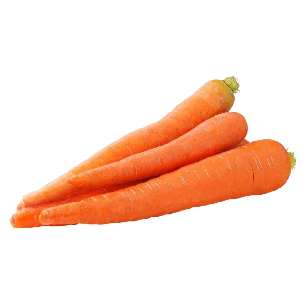 Carrot
