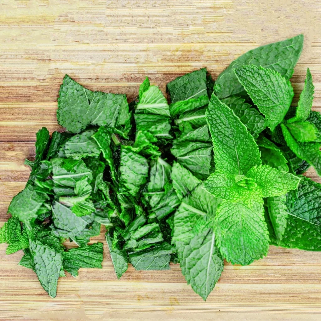 Mint Chopped
