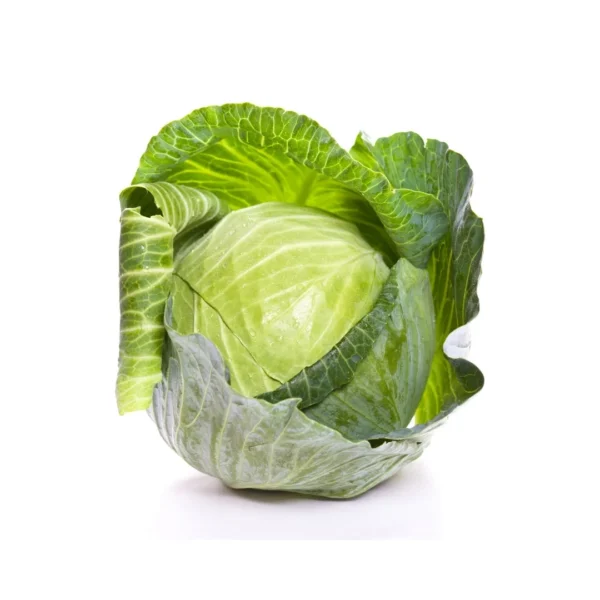 cabbage