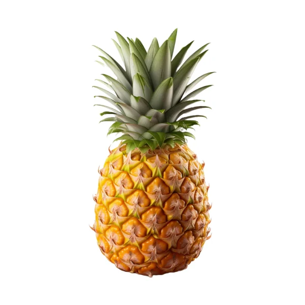 FRUIT:PINEAPPLE