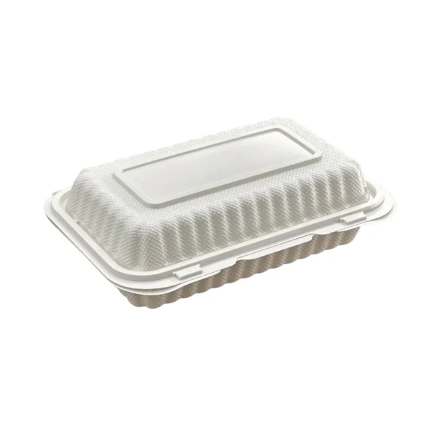 9*6" HINGED CONTAINER SLPP-188 (K3)