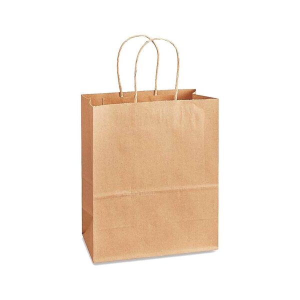 13*7*13 PAPER BAG W/HANDLE